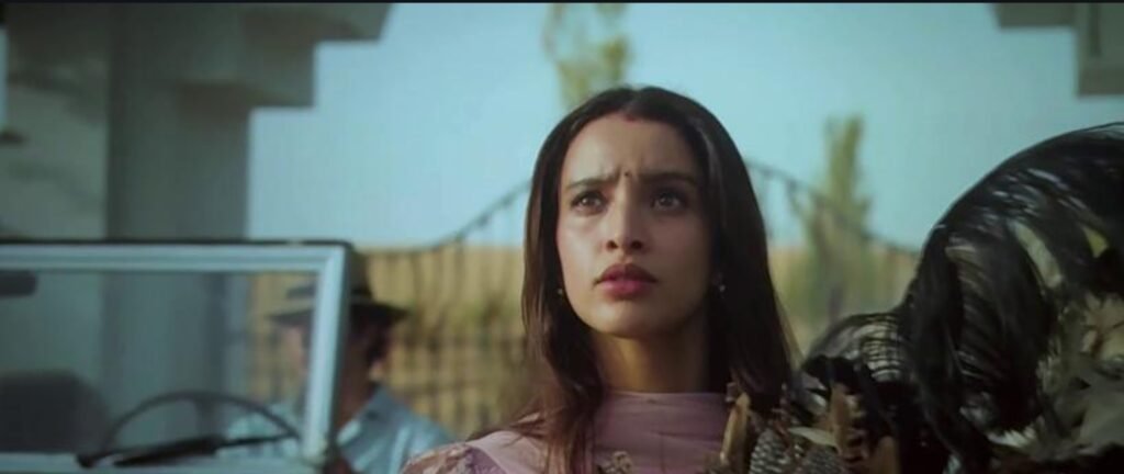 Shahid Kapoor O Romeo Movie Poster High Quality Action Look MovieRG